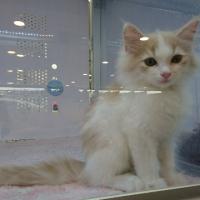 184位のイメージ