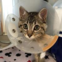 12位のイメージ