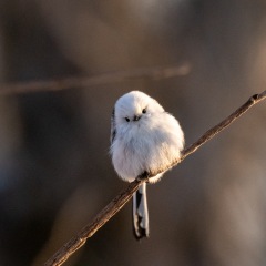 25位のイメージ