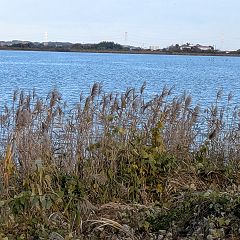 21位のイメージ