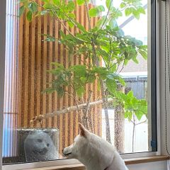 22位のイメージ