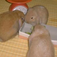 10位のイメージ