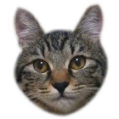 62位のイメージ