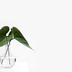 26位のイメージ