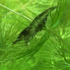 10位のイメージ