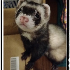 13位のイメージ