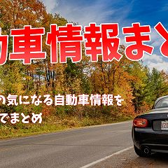 41位のイメージ