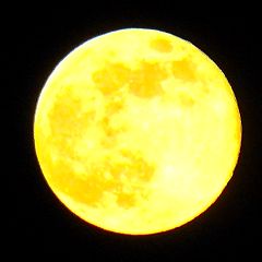 290位のイメージ