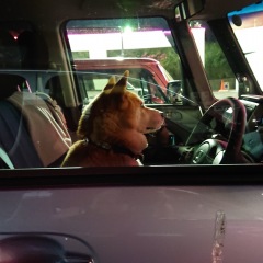 23位のイメージ