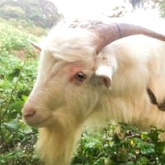 65位のイメージ