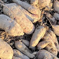 96位のイメージ