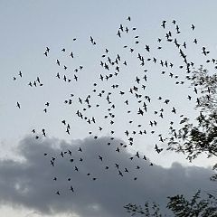 21位のイメージ