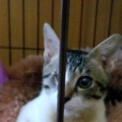 13位のイメージ