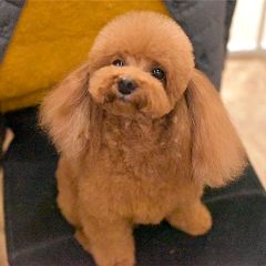 22位のイメージ