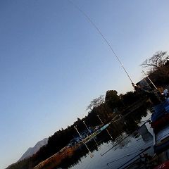 20位のイメージ