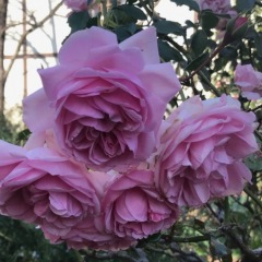 33位のイメージ