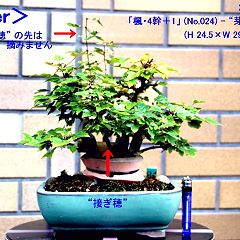 45位のイメージ