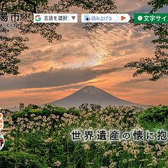 29位のイメージ