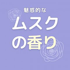 87位のイメージ