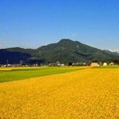 15位のイメージ