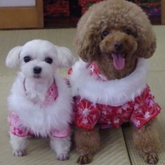 22位のイメージ