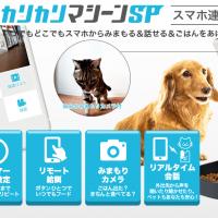 13位のイメージ