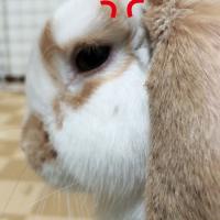 11位のイメージ