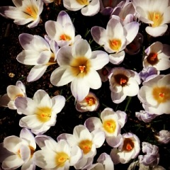 35位のイメージ