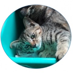 18位のイメージ