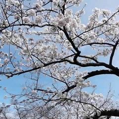 10位のイメージ