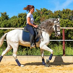 38位のイメージ