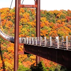 108位のイメージ