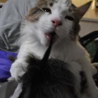 16位のイメージ