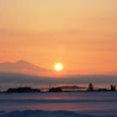 11位のイメージ