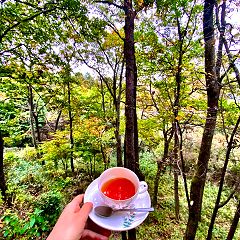 16位のイメージ