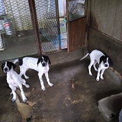 23位のイメージ