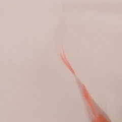 22位のイメージ