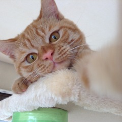 21位のイメージ