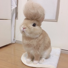 24位のイメージ