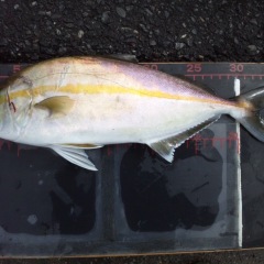 44位のイメージ