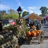 71位のイメージ