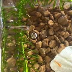 159位のイメージ