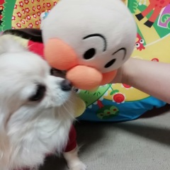 51位のイメージ