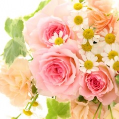 50位のイメージ