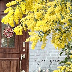 172位のイメージ