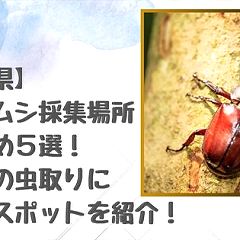 30位のイメージ