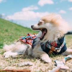 13位のイメージ