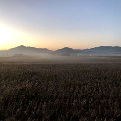 96位のイメージ