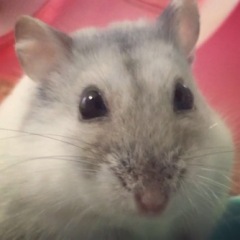 20位のイメージ