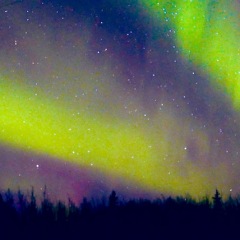 137位のイメージ